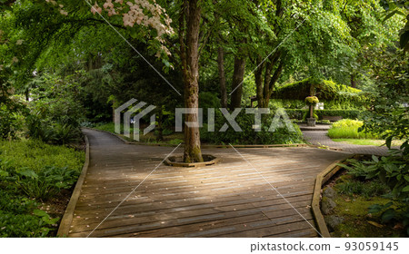 Sendall Gardens in a modern suburban city park. Summer season. 93059145