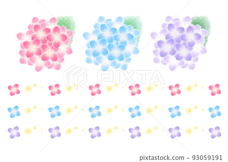 hydrangea hydrangea 93059191