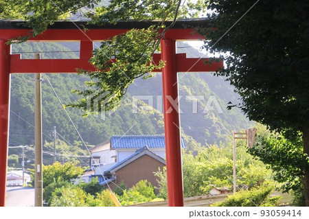 summer and torii 93059414