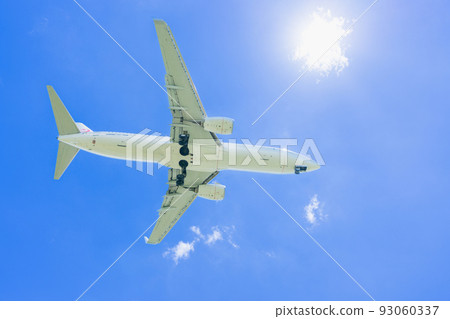 “飛機”波音 737-800 波音 737-800 93060337
