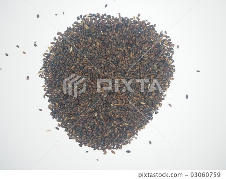 Crude drug radish Shazenshi 93060759