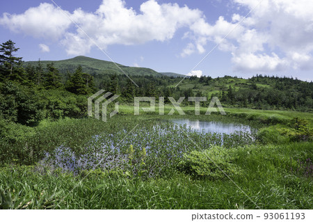 從田代平池眺望乳都山 從田代平池眺望乳都山 93061193