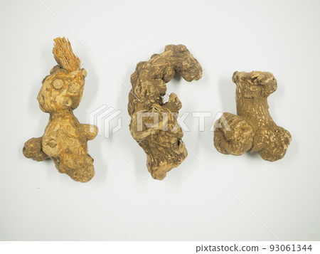 Crude drug Byakujutsu Crude drug Byakujutsu 93061344