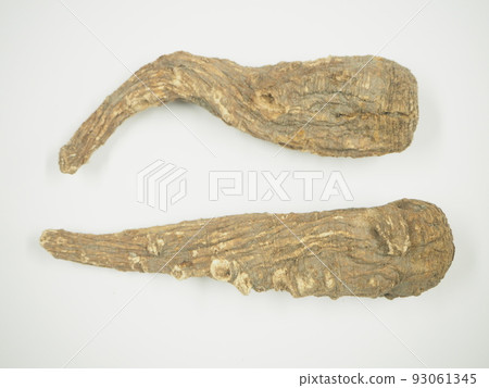 Crude drug white prickly pear 93061345