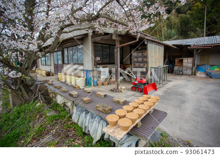 島根縣出雲市的周彩窯 櫻花盛開的工場內排列著無釉陶器 島根縣出雲市的周彩窯 櫻花盛開的工場內排列著無釉陶器 93061473