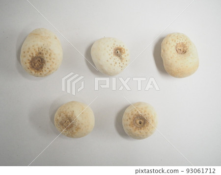 生藥漢格 93061712