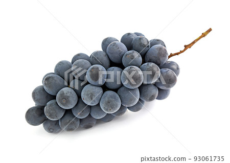 Grapes (Summer Black) 93061735
