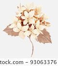 Watercolor autumn hydrangea flower 93063376