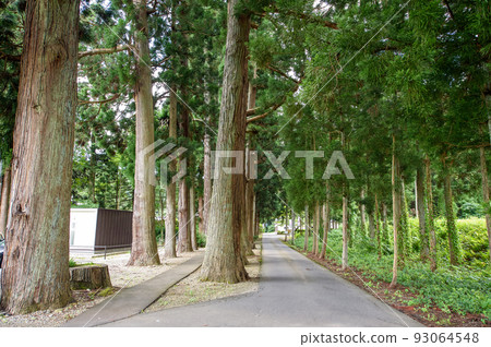 Karamatsu Shrine Suginamiki Daisen City, Akita Prefecture 93064548