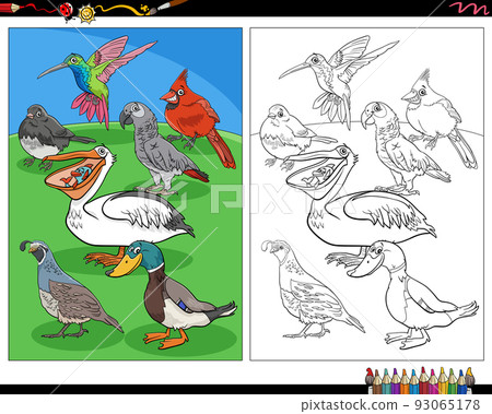 cartoon birds animal characters coloring page cartoon birds animal characters coloring page 93065178