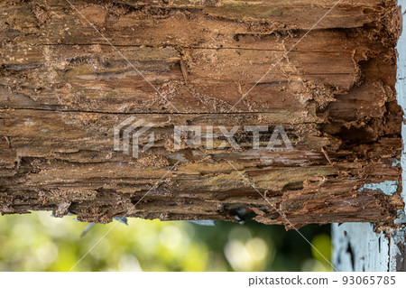 Warehouse pillars damaged by termites Warehouse pillars damaged by termites 93065785