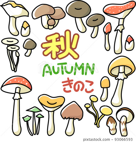 Autumn image mushroom set Autumn image mushroom set 93066593