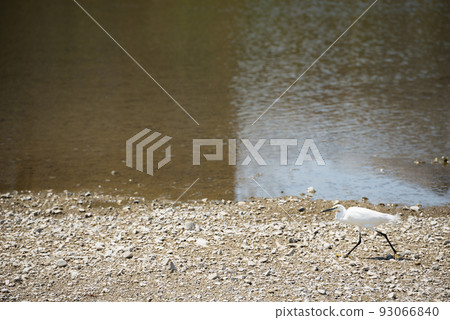 Kyoto scenery in spring 93066840