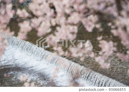 Kyoto scenery in spring Kyoto scenery in spring 93066855