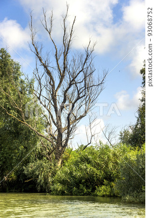 a riverside landscape of Danube delta, Odessa region, Ukraine 93068752