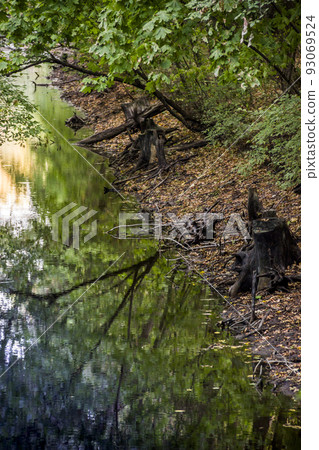 river in the forest 93069524