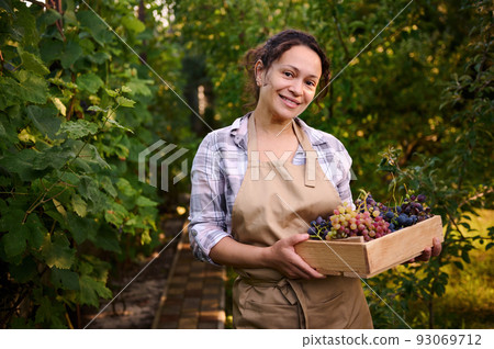 Multiethnic woman, experienced vine grower, vintner, viticulturist holding a wooden crate with fresh autumn harvest of organic grapes and cutely smiles looking at the camera. Viticulture. Agribusiness 93069712