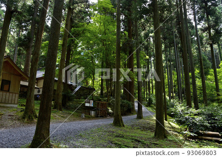 Oiwa Shrine, a power spot in Hitachi City, Ibaraki Prefecture 93069803