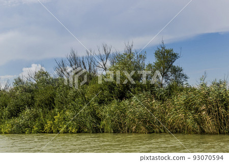 a riverside landscape of Danube delta, Odessa region, Ukraine 93070594