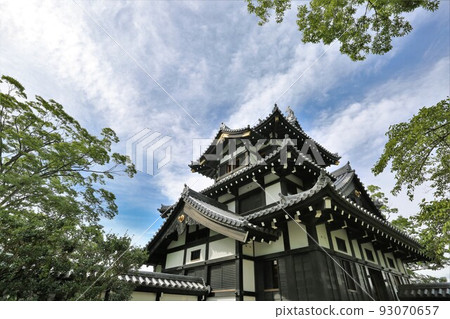 Takada castle Takada castle 93070657