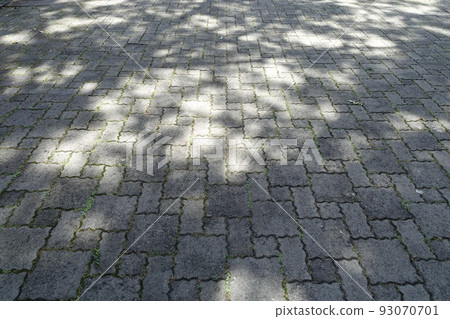 陽光透過樹木過濾的路面 陽光透過樹木過濾的路面 93070701