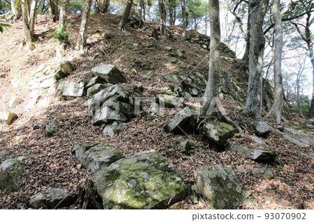 Takamine Castle 93070902