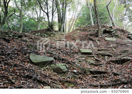 Takamine Castle 93070904