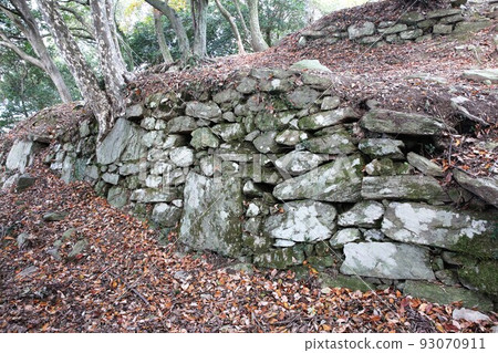 Takamine Castle 93070911