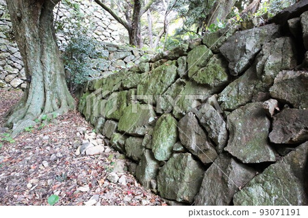 濱田城堡 93071191