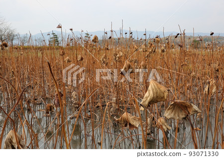 Ben-Takamatsu Castle Ben-Takamatsu Castle 93071330