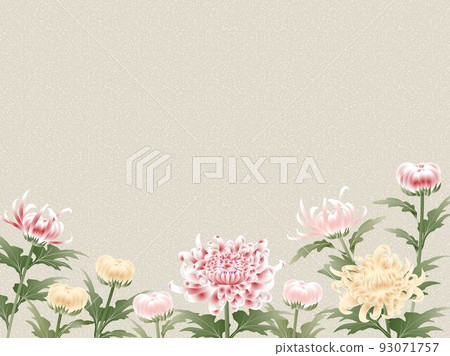 Chrysanthemum, red, yellow, pink, blur-frame Chrysanthemum, red, yellow, pink, blur-frame 93071757