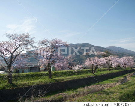 岩手縣遠野市遠野櫻花(猿日石川沿岸) 岩手縣遠野市遠野櫻花(猿日石川沿岸) 93072052