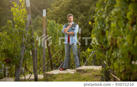 pondering handsome wine maker. vintner at winery. farmer vinedresser. male vineyard owner. pondering handsome wine maker. vintner at winery. farmer vinedresser. male vineyard owner. 93072210