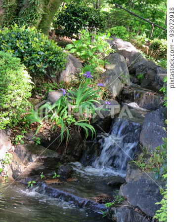 Japanese garden green negative ions Japan Tokorozawa's power spot Japanese style park image background material 28 Japanese garden green negative ions Japan Tokorozawa's power spot Japanese style park image background material 28 93072918