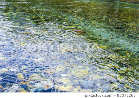Clear stream of Kamikochi Azusa River 93073265