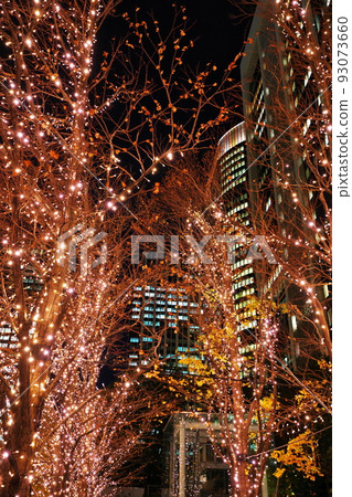 冬天街道樹 93073660