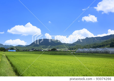 龜須盆地稻田和山。 龜須盆地稻田和山。 93074266