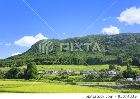 楠盆地水田和里山風景 93074339