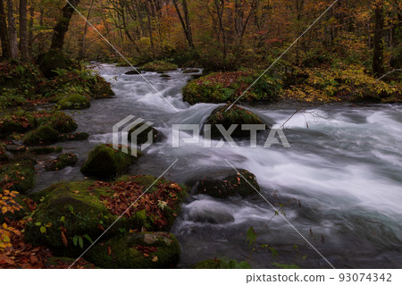 有秋葉的奧入瀨峽谷 93074342