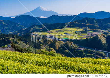 (靜岡縣)茶園上的富士山 清晨 (靜岡縣)茶園上的富士山 清晨 93074537