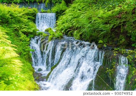 [瀑布素材]輕井澤白絲瀑布[長野] 93074952