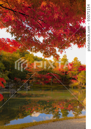 Autumn leaves reflecting on the surface of the water Autumn leaves reflecting on the surface of the water 93075154