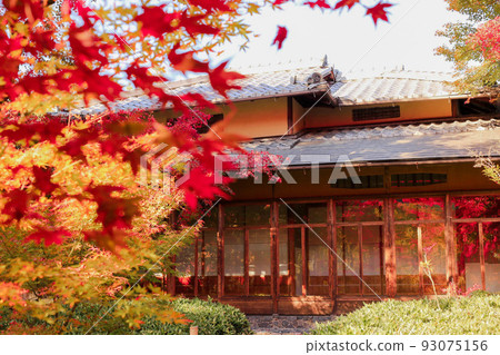 Autumn leaves beautifully reflected on the glass Autumn leaves beautifully reflected on the glass 93075156