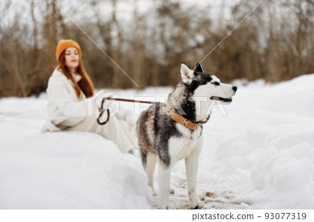 young woman winter outdoors with a dog fun nature winter holidays 93077319