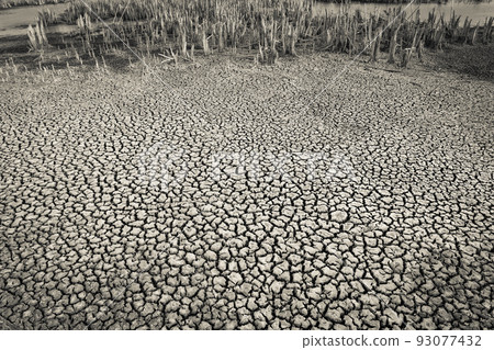dry soil.La Pampa dry soil.La Pampa 93077432
