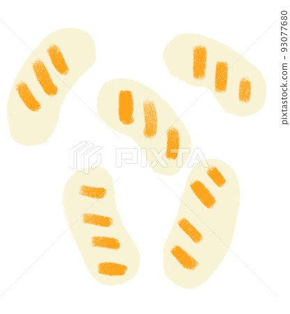 Sausage breakfast food set elements hand drawn doodle minimal style pastel color illustration 93077680