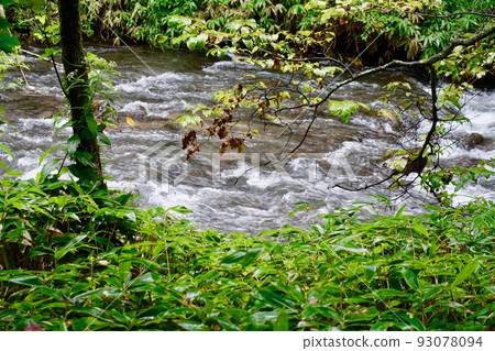 流經森林的山溪 流經森林的山溪 93078094