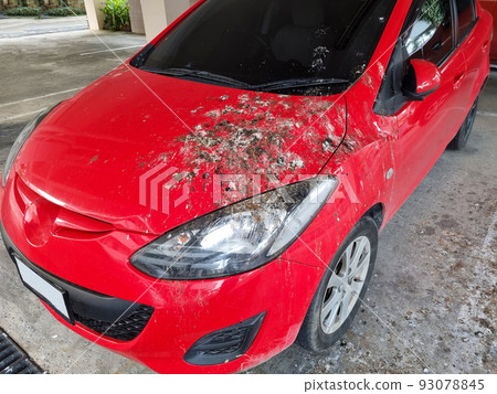a bird droppings on the car.. red 93078845