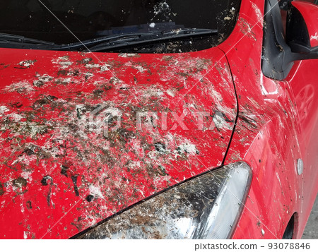 a bird droppings on the car.. red 93078846