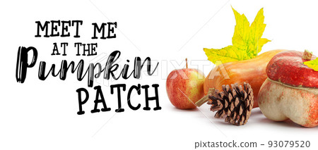 Miniature pumpkins on white background with copy space. 93079520